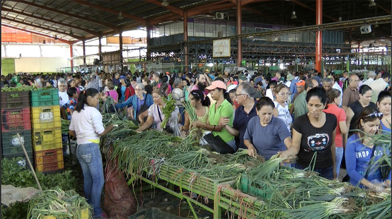 Venezuela2016 CFDT DR